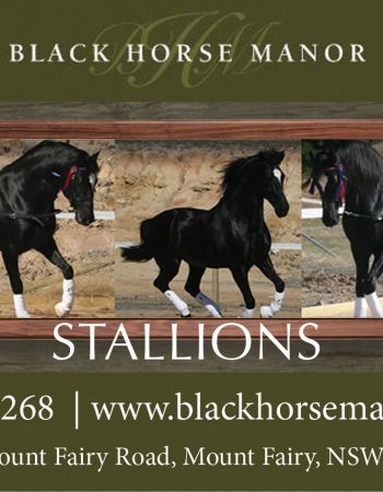 Black Horse Manor