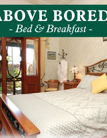 Above Bored Bed & Breakfast