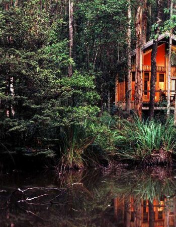Woodlands Rainforest Retreat by Sensess