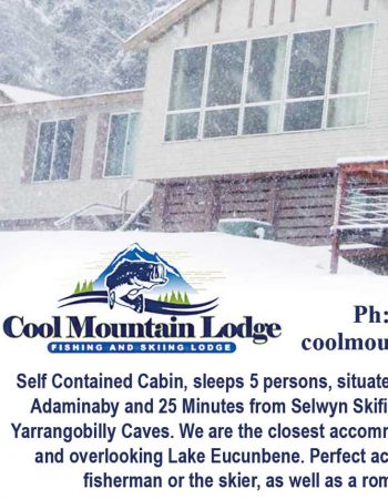 Cool Mountain Lodge