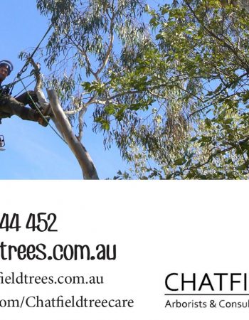 Chatfield Arborists and Consultants