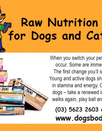 Dogs Body Raw Nutrition