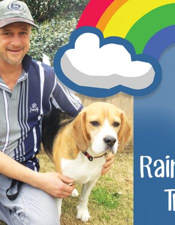 Rainbow Dog Training