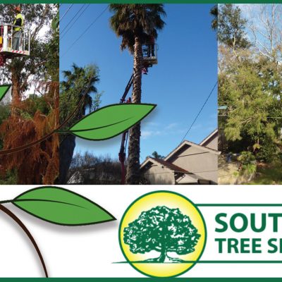Southside Tree Services