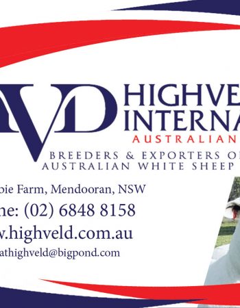 Highvelds Stud International