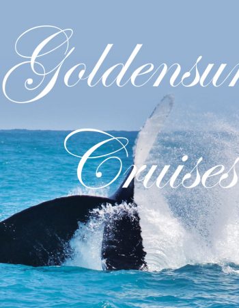 Golden Sun Cruises